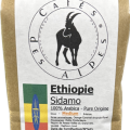 Ethiopoie