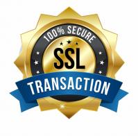 Logo secure site 01